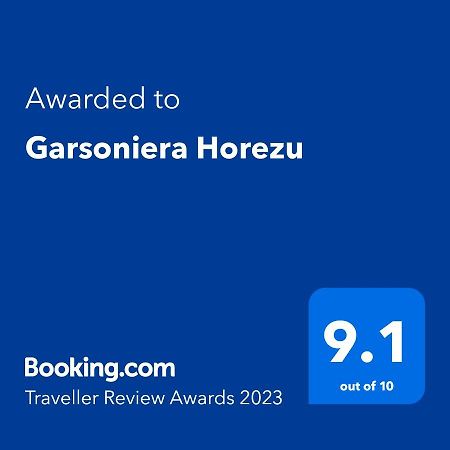 Garsoniera Horezu公寓 外观 照片